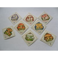 Монголия, грибы.