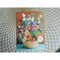 Открытка СССР 1981 год.   Чистая. Г.Костенко . Состояние на скане.