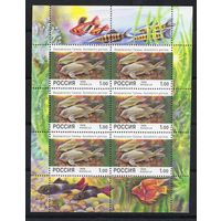 Россия 1998. Аквариумные рыбы. Малый лист (221)