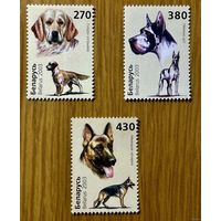 Марки РБ. Собаки. 2003год ### 520, 521. 522 Голден ретривер. Немецкий дог. Немецкая овчарка