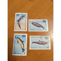1984 Куба фауна моря (4-6)