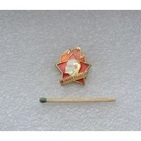 Всегда готов!