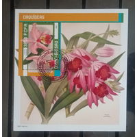 ЛИСТ ФЛОРА ЦВЕТЫ ГРИБЫ  СТО