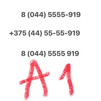 Красивый и простой номер А1 5555.919