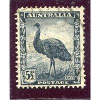 Австралия. Стандарт. Фауна. Страус