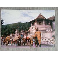 Этнография. Шри-Ланка. Традиционное шествие в честь священного зуба господа Будды