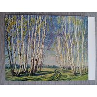 1957. Оболенский. Березки. Май