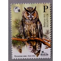 Ушастая сова.  Серия из 1 марки, 2015. Беларусь