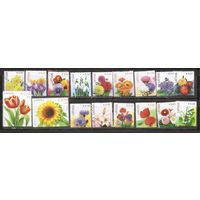 ФФ1 Латвия 2014-15 Цветы Стандарт