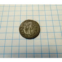 Боратинка 1665