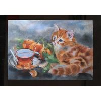 Открытка. Фауна. Животные. Коты. Котики. Рыжий котенок. Чаепитие. Мандарины. Худ. Л.Титова (чистая)
