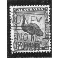 Австралия. Стандарт. Фауна. Страус